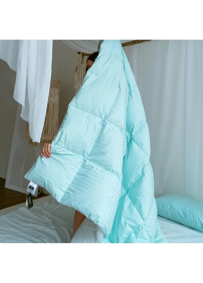 Одеяло пуховое Valentino 031 деми 110х140 см (2200005895139) Mirson (315025718)