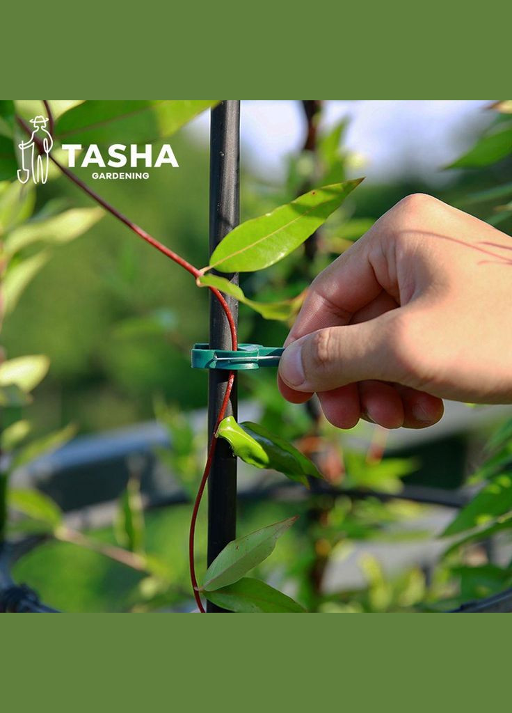 Набор фиксаторов и клипс 31 No Brand (302806354)