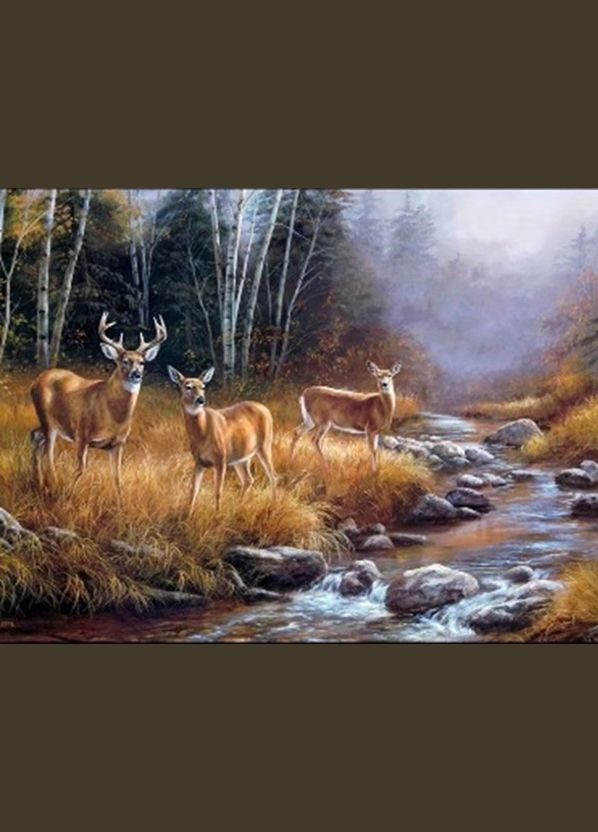 Алмазная мозаика 40*50 см со стразами на подрамнике полная выкладка Чарівний діамант (317257799)