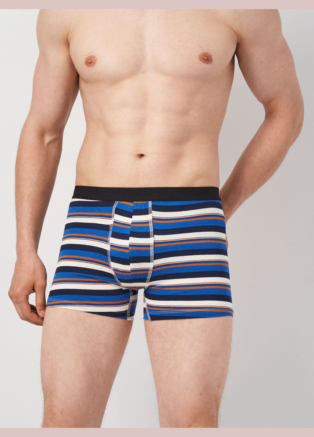 Трусы (3шт) Basic Collection (295079741)