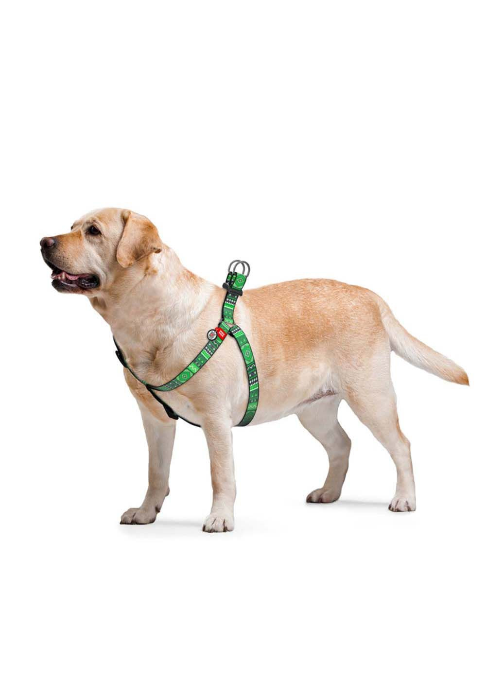 Шлея для собак анатомическая Nylon Этно пластиковый фастекс Ш 25 мм Дл 60-90 см WAUDOG (292175371)