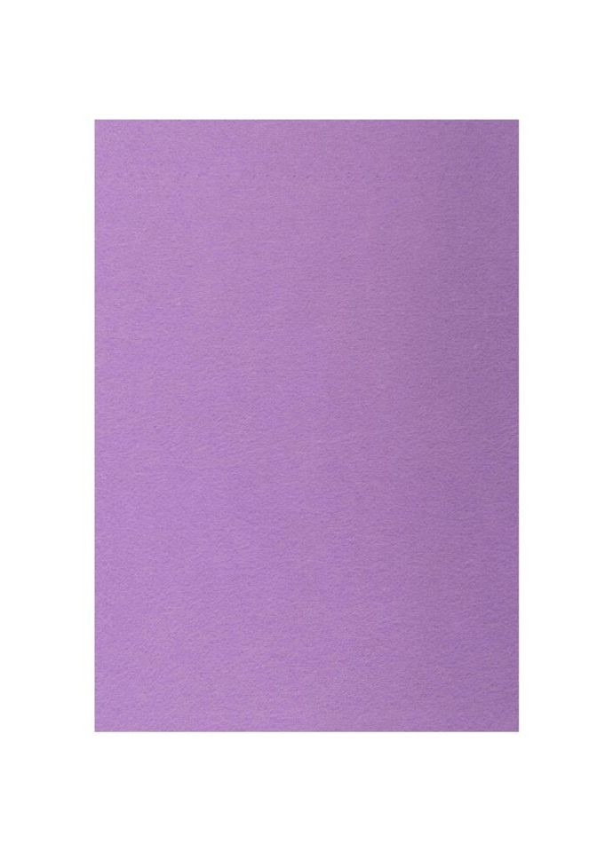 Набор фетра жесткого 742931 21х30 см 10 листов лавандовый Santi (328390679)