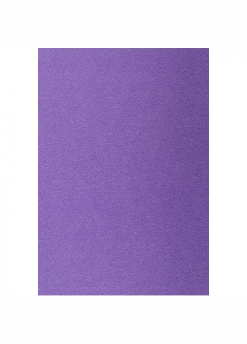 Набір фетру жорсткого 741830 21х30 см 10 листів аметистовий Santi (364754246)