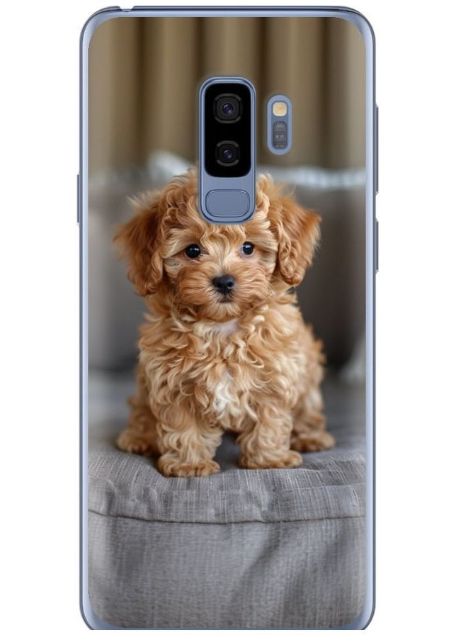 Силиконовый чехол 'Mini-maltipoo' для Endorphone Samsung Galaxy S9 Plus (297867337)