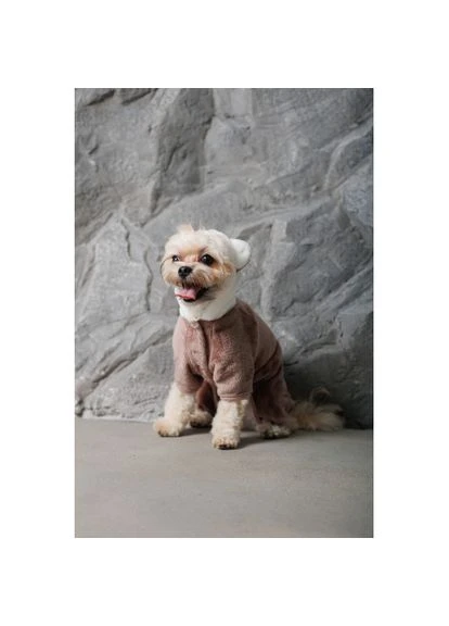 Костюм ALF для собак размер XS2 Pet Fashion (333141072)