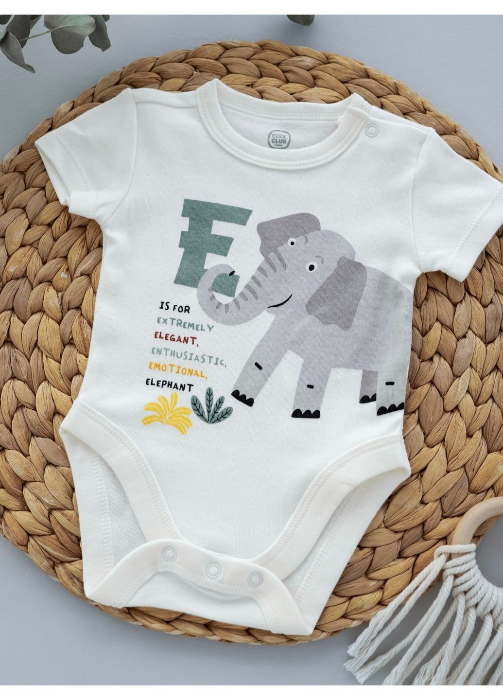 Боди Cool Club (366570503)