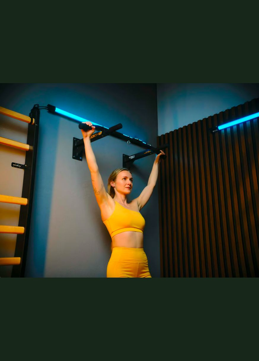 Турник настенный TX-030PB черный TREX Sport (341328036)