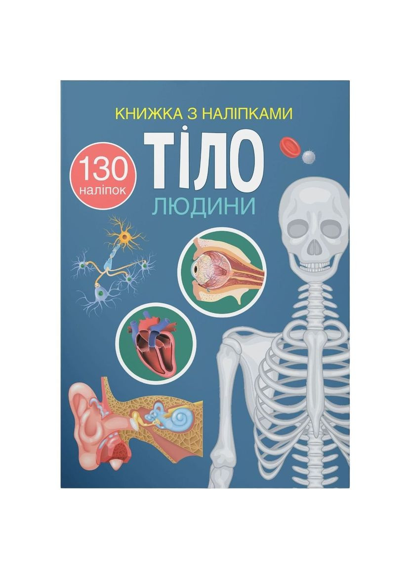 Книга Тело человека, с наклейками () Кристал Бук F00027785 (355313889)