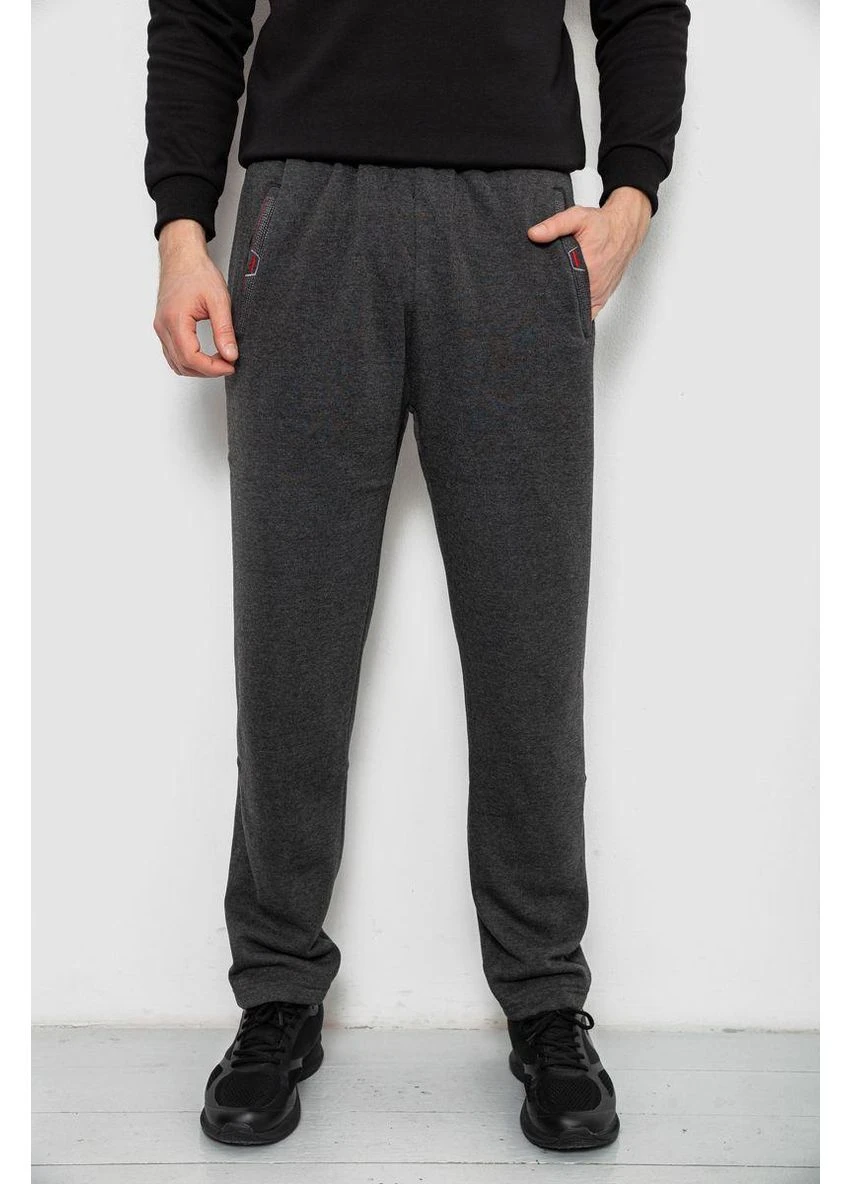 Спортивні штани чоловічі на флісі,, 244R41597 No Brand (365062367)