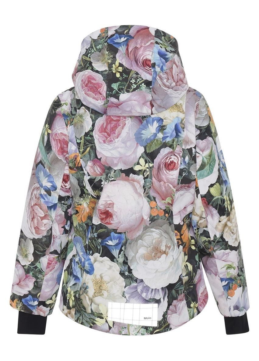 Горнолыжный костюм Molo (372388586)