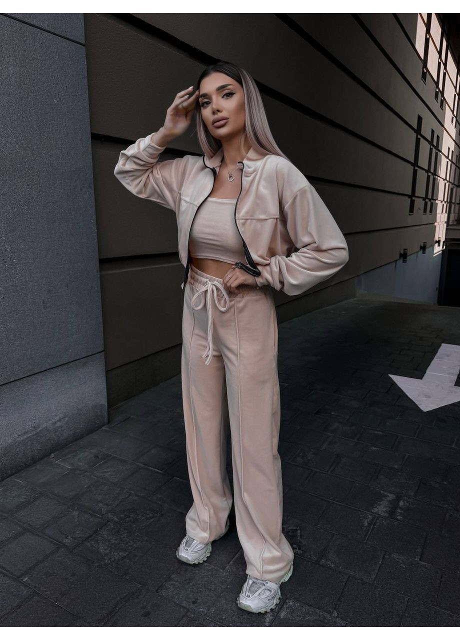 Трендовый велюровый костюм двойка No Brand (363969612)