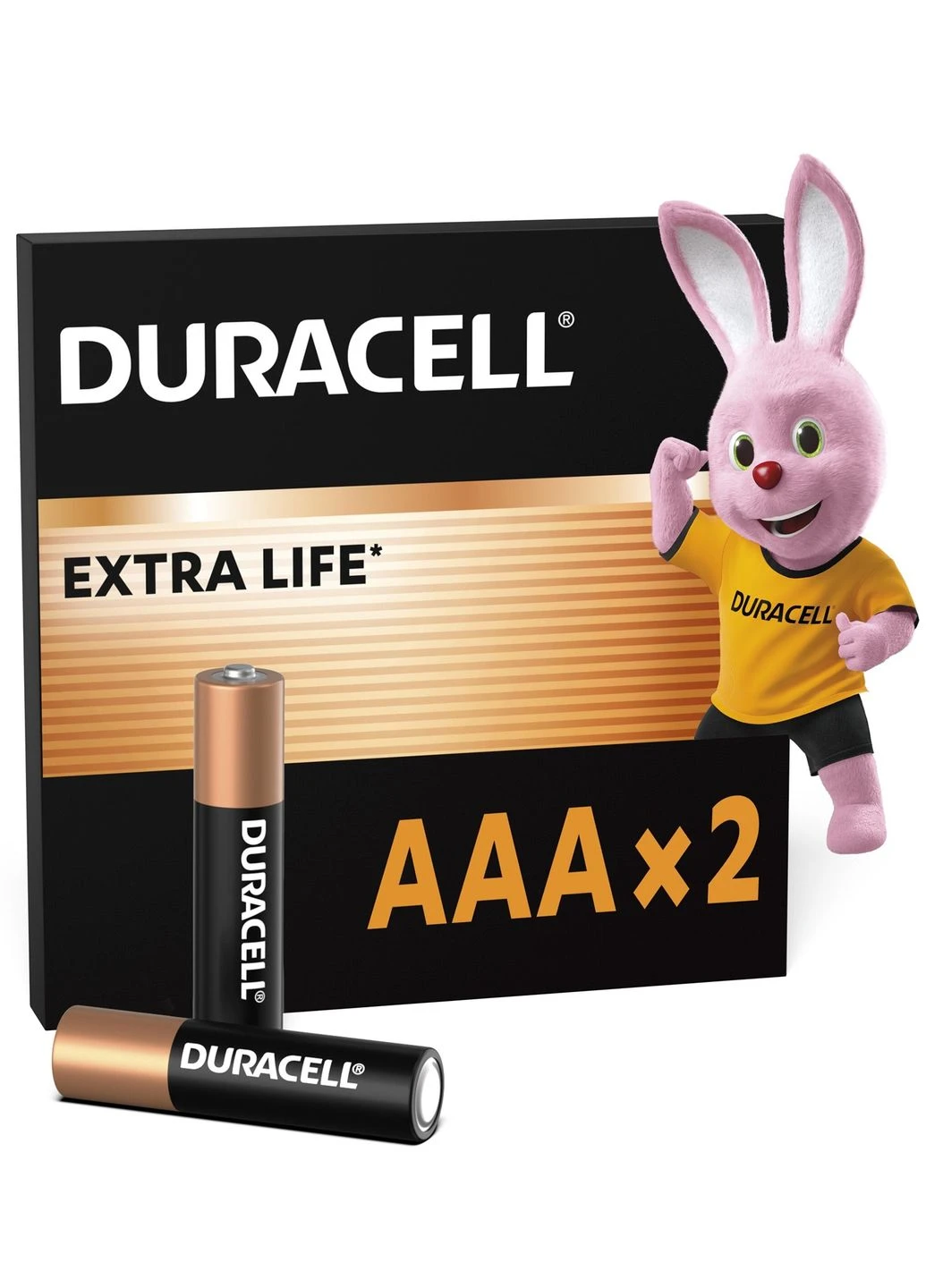 Батарейка Duracell LR03 MN2400 AAA лужні 2 шт. No Brand (393399274)