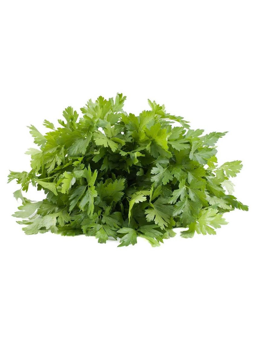 Насіння зелені Петрушка Гігантела 2г. Насіння України (356119134)