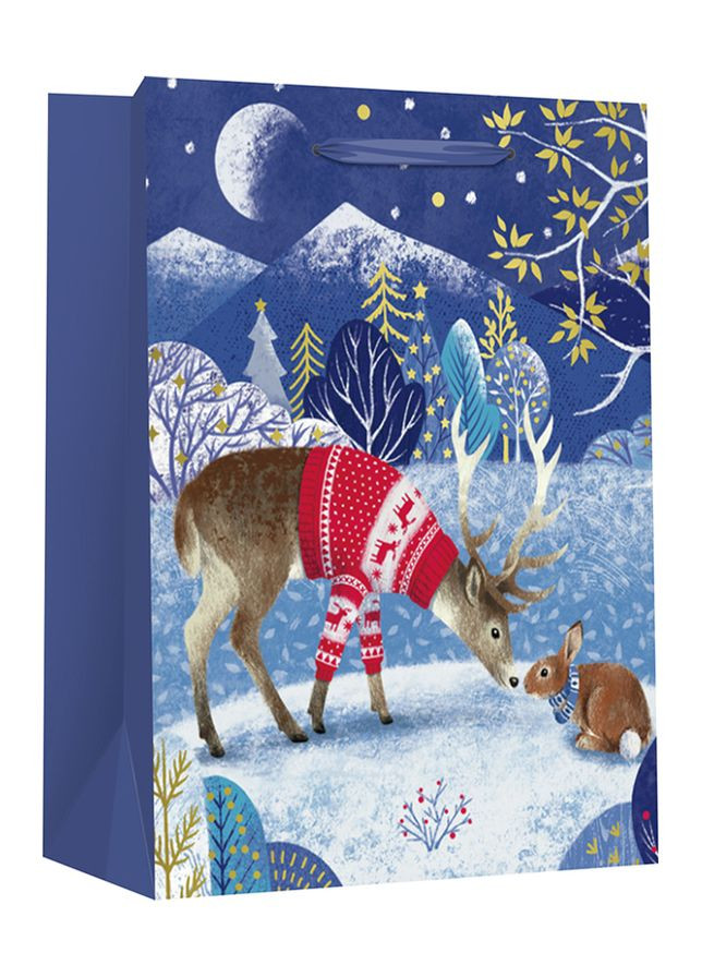 Пакет подарочный цвет разноцветный ЦБ-00237803 Malevaro (297059922)