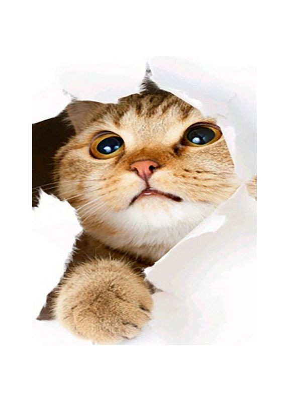 Алмазна мозаїка ПРЕМІУМ Допитливий котик без підрамника розміром 40х50 см (JSFH85891) Strateg (362446275)