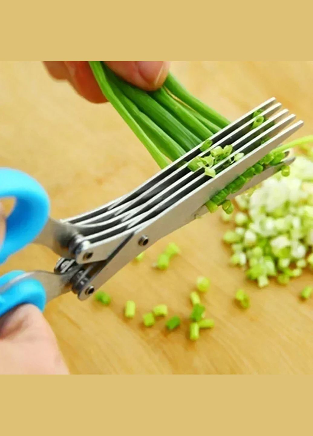 Кухонні п'ятишарові ножиці для нарізки зелені та шинковки з мультилезом Kitchen Master (293814854)