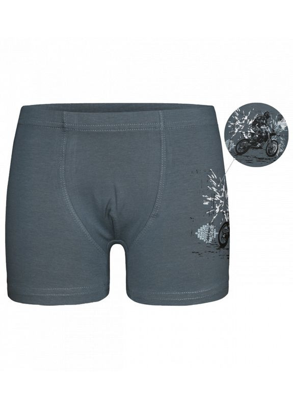 Дитячі труси боксери для хлопчика з принтом Мото Donella Боксери (313428699)
