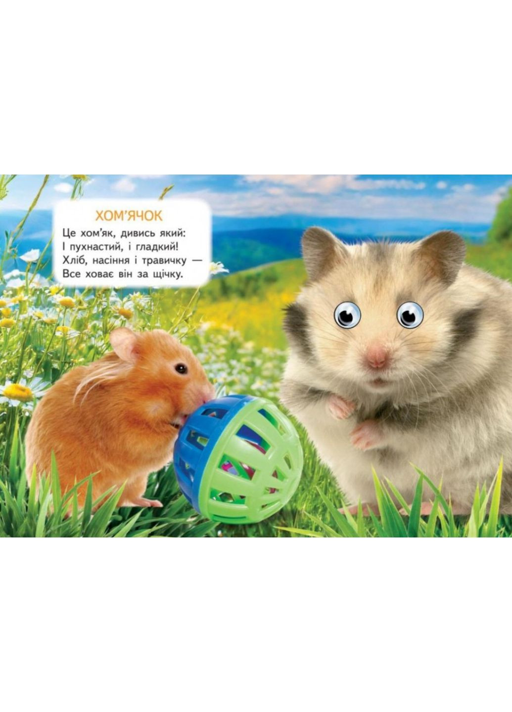 Цікаві книжки з оченятами «Ферма» Віршики для малечі у картонному форматі (9786178405694) Пегас (327879048)