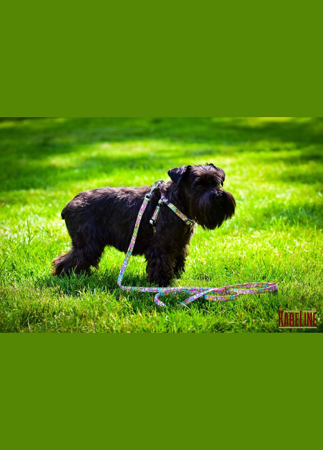 Шлей из нейлона с узором "CAKE" и пластиковой пряжкой 15 мм А:350-480 мм, В:400-570 мм Kareline (339075084)