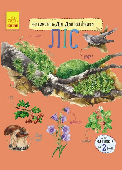 Детская энциклопедия про лес 614016 для дошкольников Ranok Creative (366975137)