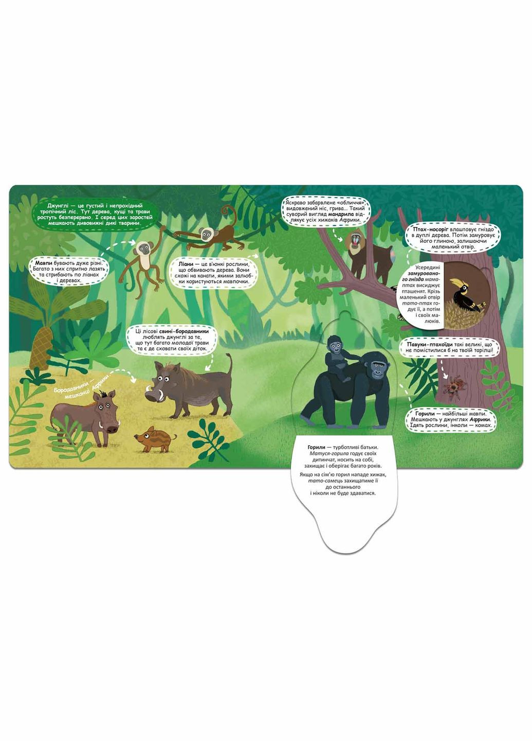 Загадочные джунгли и их обитатели Видавничий дім Школа (316124960)