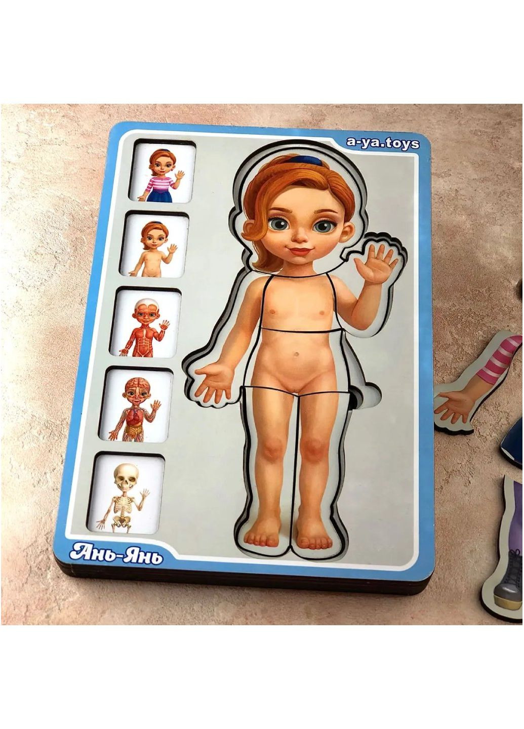 Сортер многослойный деревянный: "Анатомия человека – девочка". (Деревянные пазлы для детей) ПСФ025 Ubumblebees (289458376)