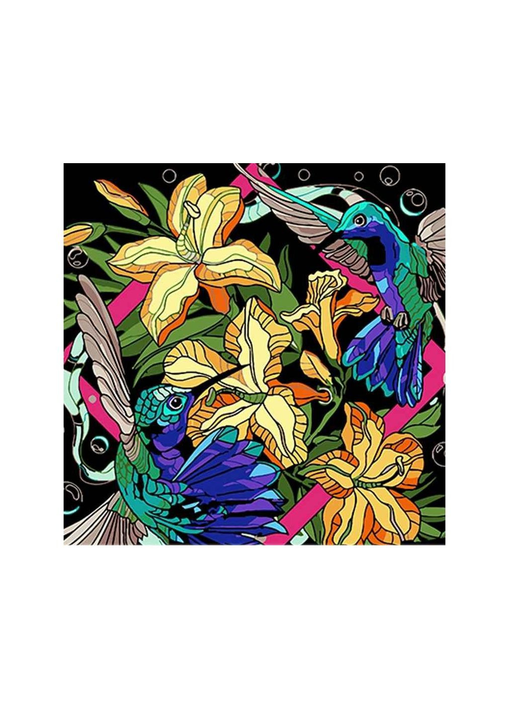 Набір для розпису по номерах Колібрі в яскравих тонах 40х40см на чорному фоні AV4040-68 ТМ Strateg (317050371)