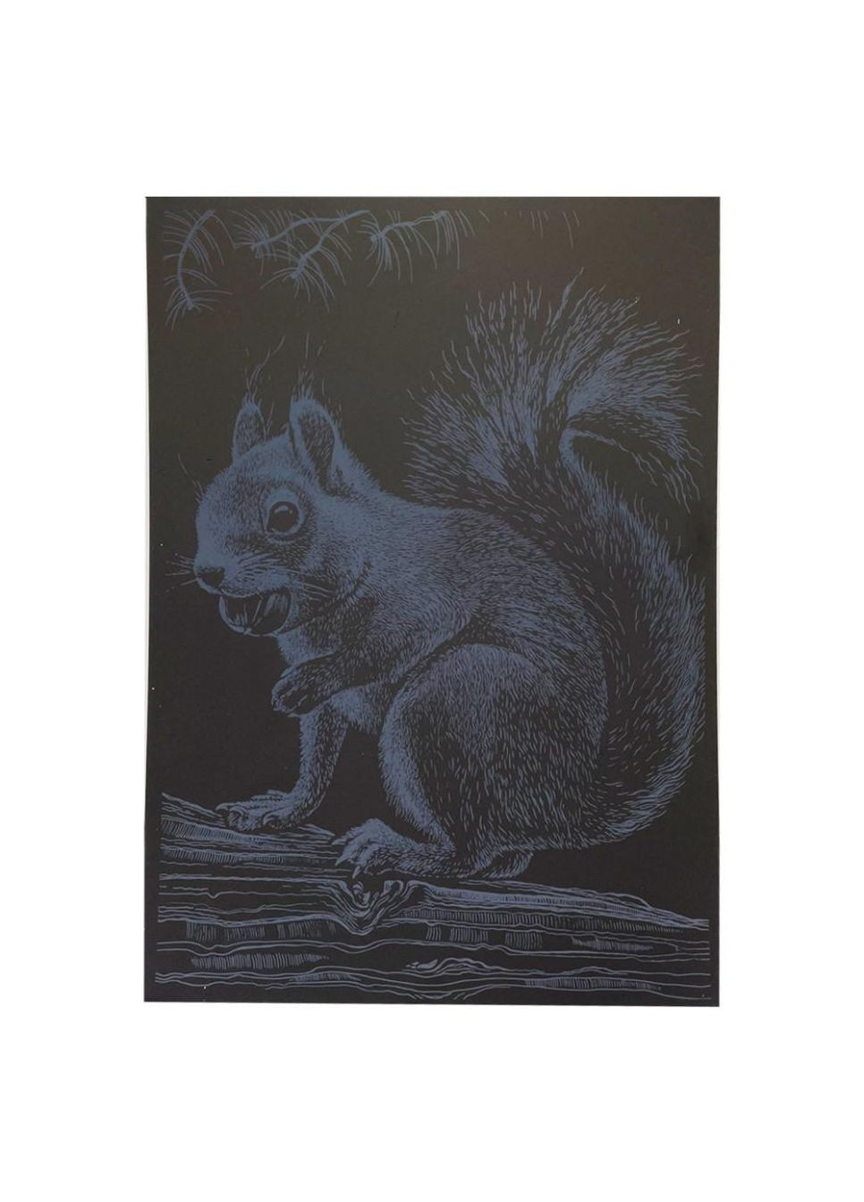 Гравюра А4 "Белка" ГрА4-1с эконом вариант в пакете 29,7х21 см No Brand (339776992)