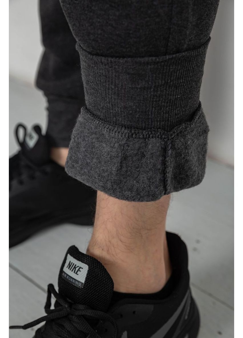 Серые спортивные демисезонные брюки Ager