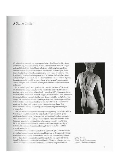 Книга Michelangelo (9783836530347) Taschen (364654077)