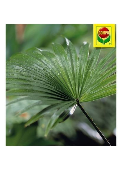 Спрей для листьев 0,3л 4025 Compo (316613677)