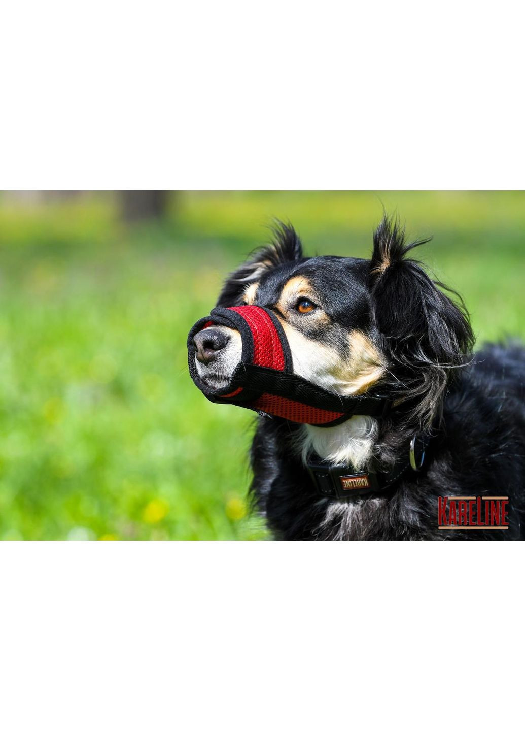 Намордник сетка из нейлона для йорка размер XXS Красный Kareline (339075398)