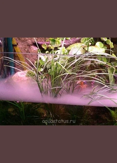 Генератор туману LED-H з підсвічуванням туманоутворювач, Amazon, Німеччина Xilong (400405347)