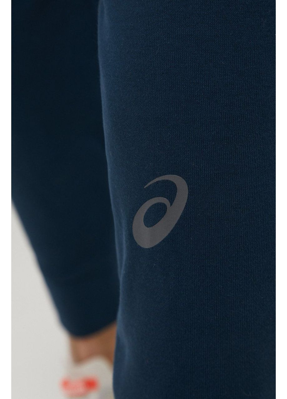 Спортивні штани чоловічі Asics Big Logo Sweat (349810483)