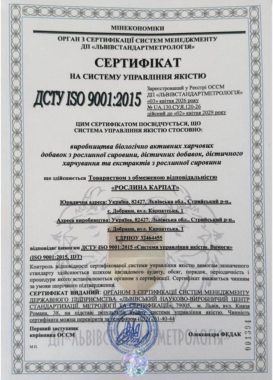 Гинкго Билоба (для улучшения памяти и мозгового кровообращения) 60 таблеток Рослина Карпат (370780154)