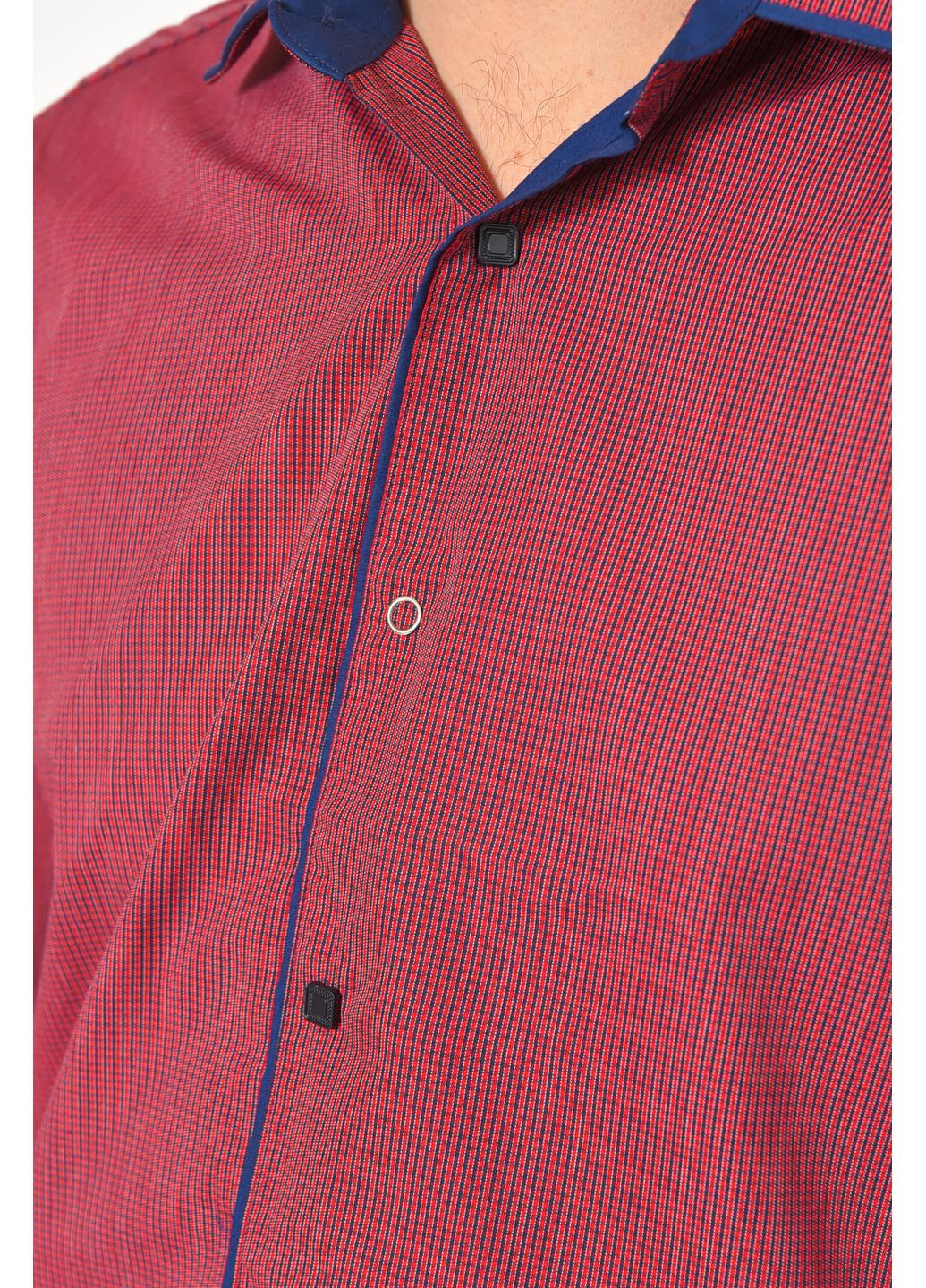 Сорочка чоловіча бордового кольору з принтом Let's Shop (367180014)