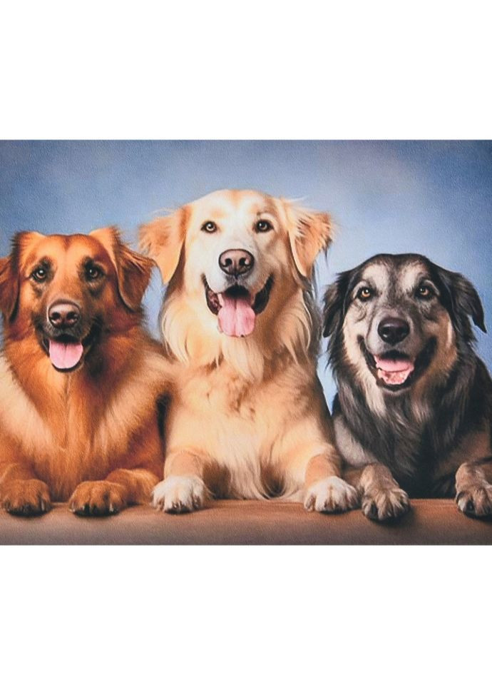 Алмазна мозаїка без підрамника "Три вірних друга" SK88269, Strateg (369239621)