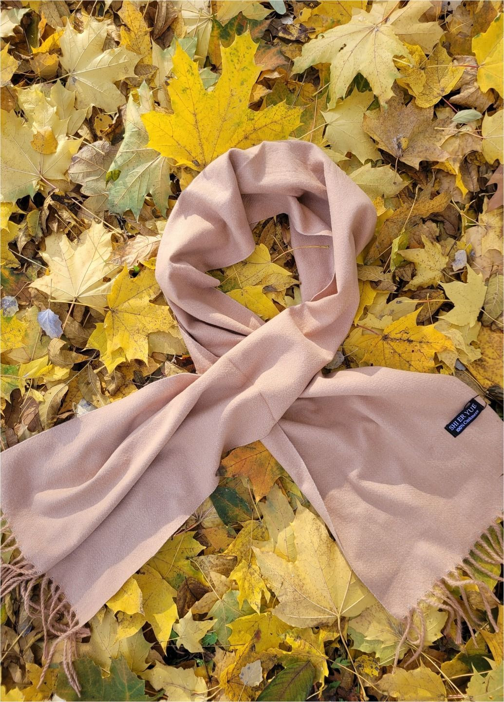 Мужской кашемировый шарф Однотонный No Brand (366385542)