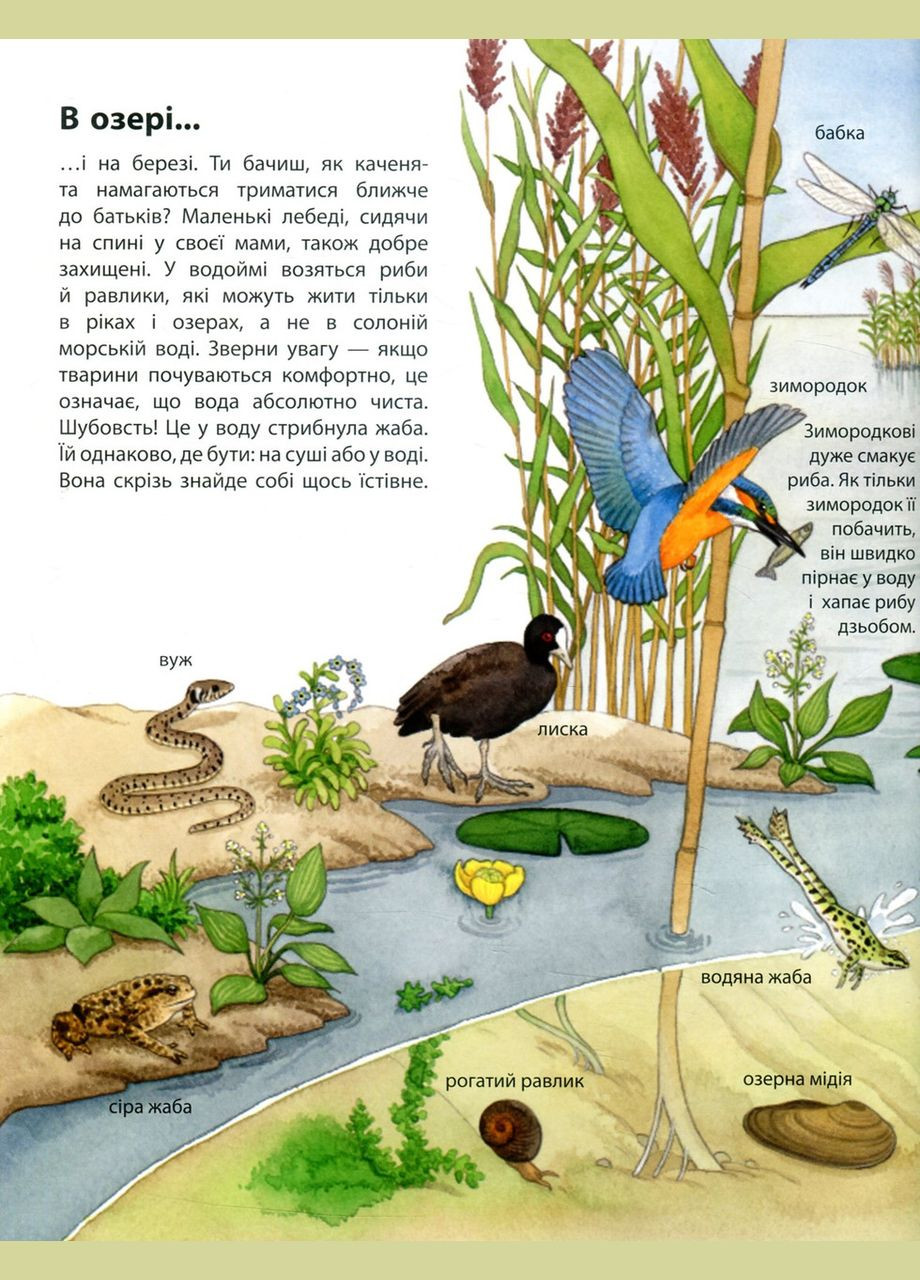 Моя первая рисованная энциклопедия. Животные РАНОК (316384343)