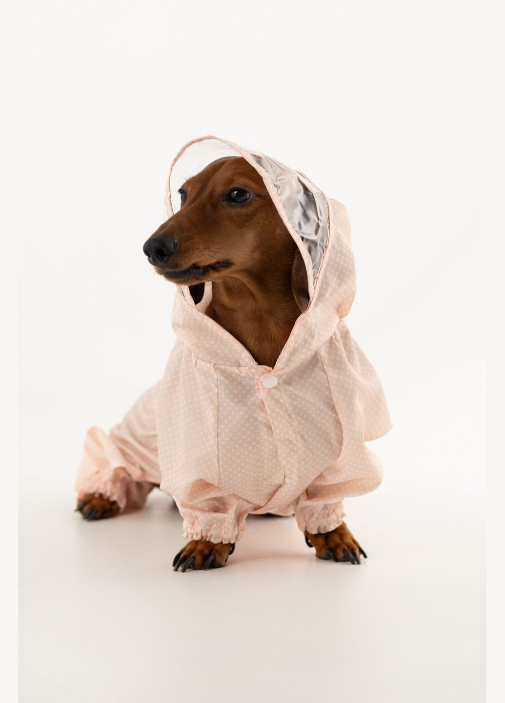 Комбинезон для животных KM52621 Розовый (2002014440528D) shop (2002014440528) KUMAOCHONGWUYONGPIN (363829761)