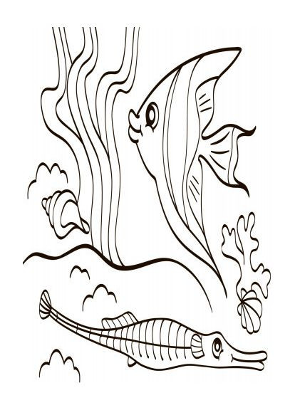 Дитяча водна розмальовка: Море 734010, 8 сторінок Ranok Creative (365249776)