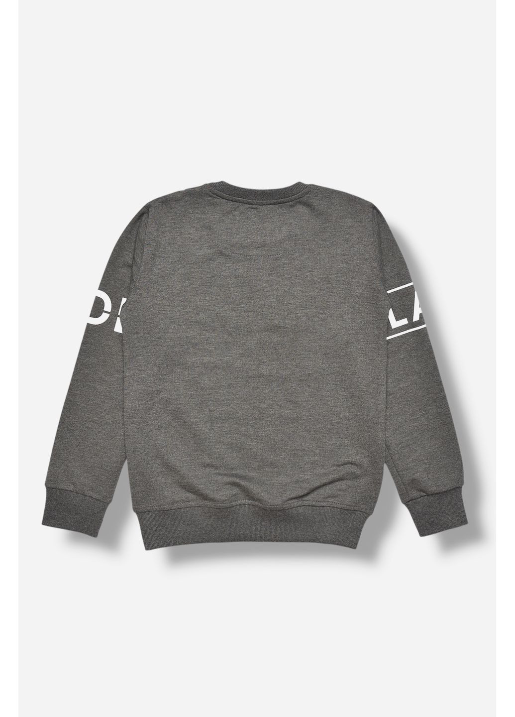Кофта підліткова для хлопчика сірого кольору з принтом Let's Shop (365310279)