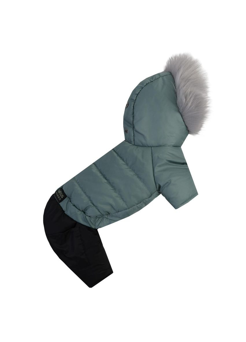 Зимовий комбінезон на хутрі м'ята Розмір 7 Dogs Bomba (370275428)