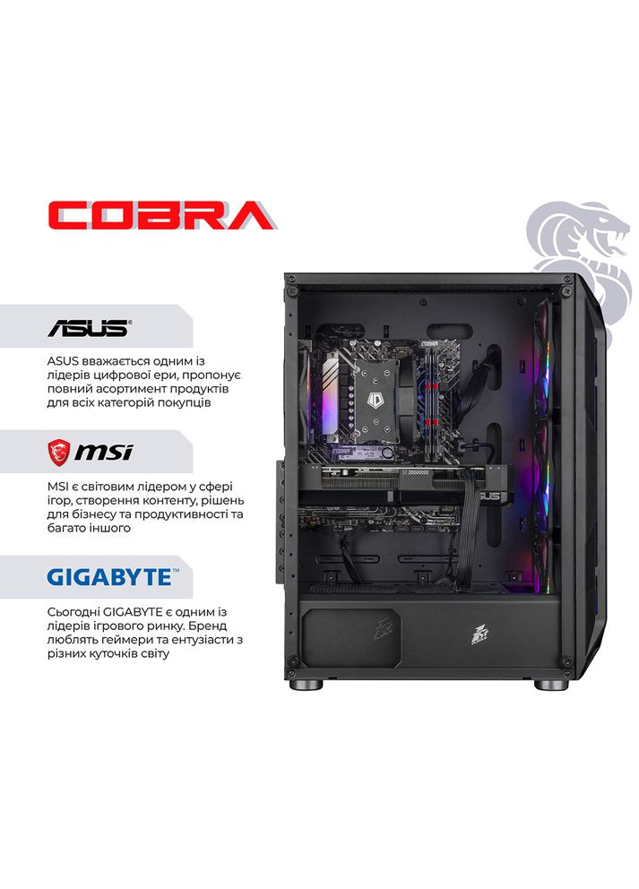 Компьютер Advanced (A55.16.H2S2.97.22480) Cobra (368901538)