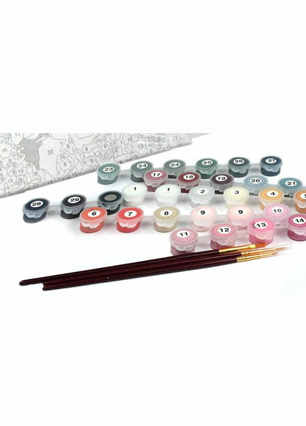 Картина по номерам Пряные специи Картины в цифрах Натюрморты 40х50 Раскраска BS52897 Brushme (308987862)