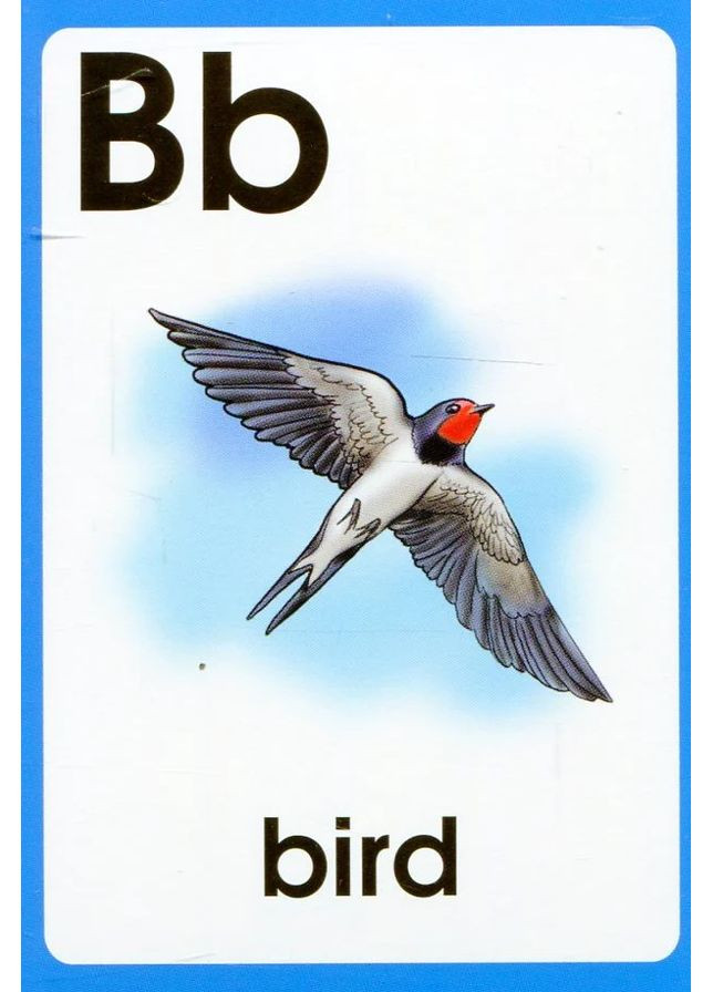 Англійська абетка ABC Words. Картки Грамота (370052476)