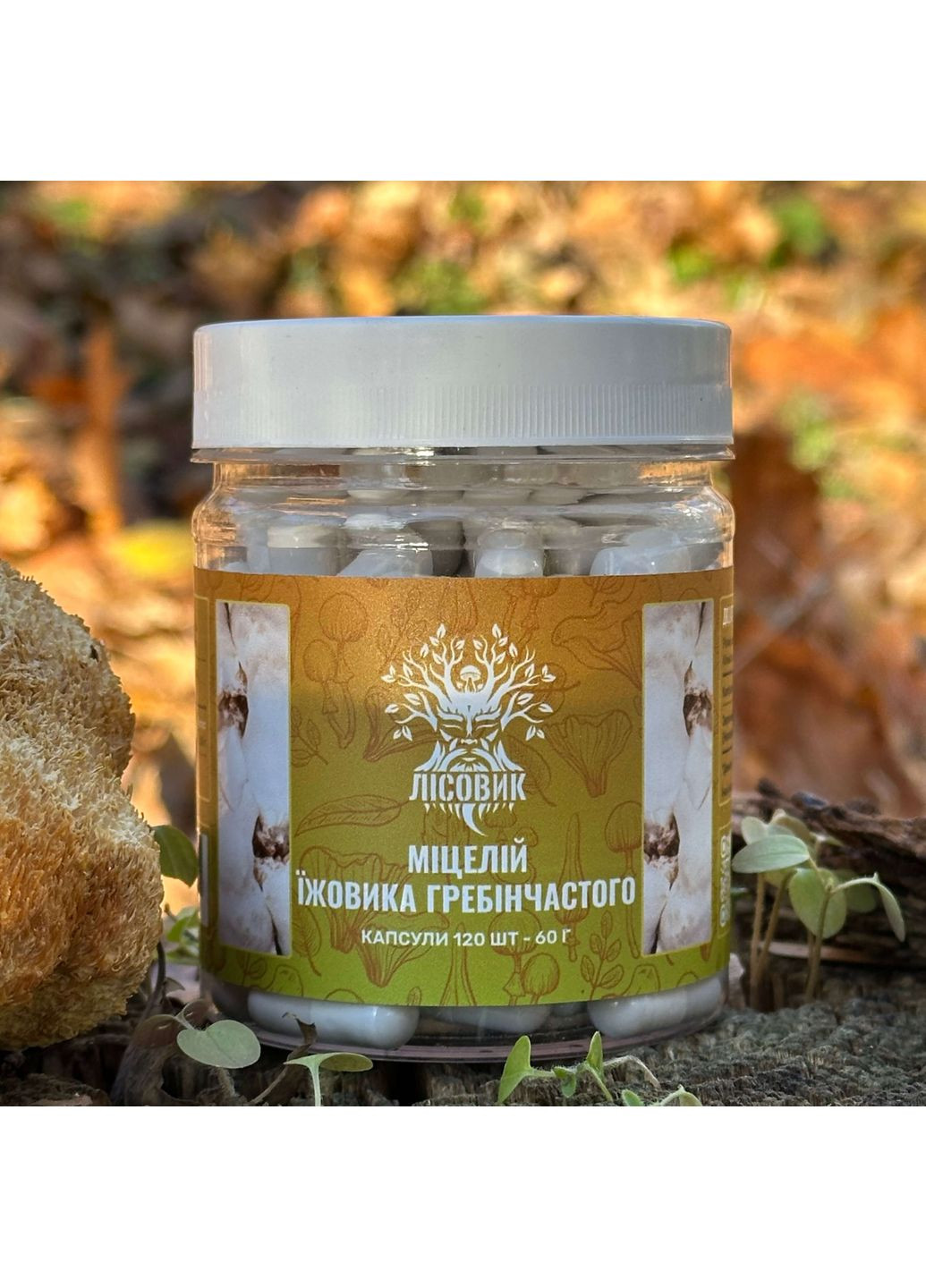 Міцелій їжовика гребінчастого у капсулах 120 шт по 0,5 г Лісовик (334711141)