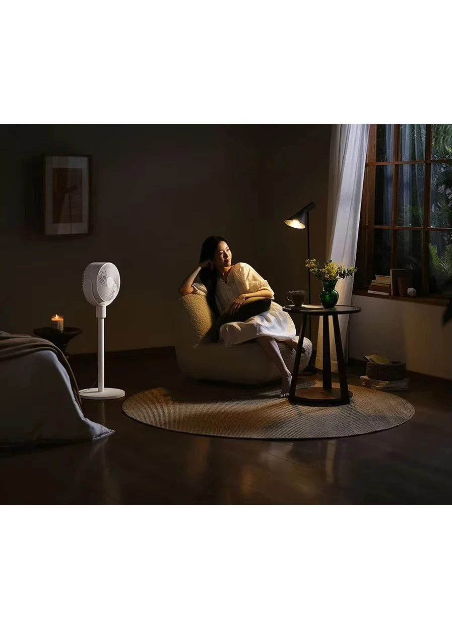 Вентилятор Mijia + (переходник на EU розетку) Xiaomi Circulation Fan (378175891)
