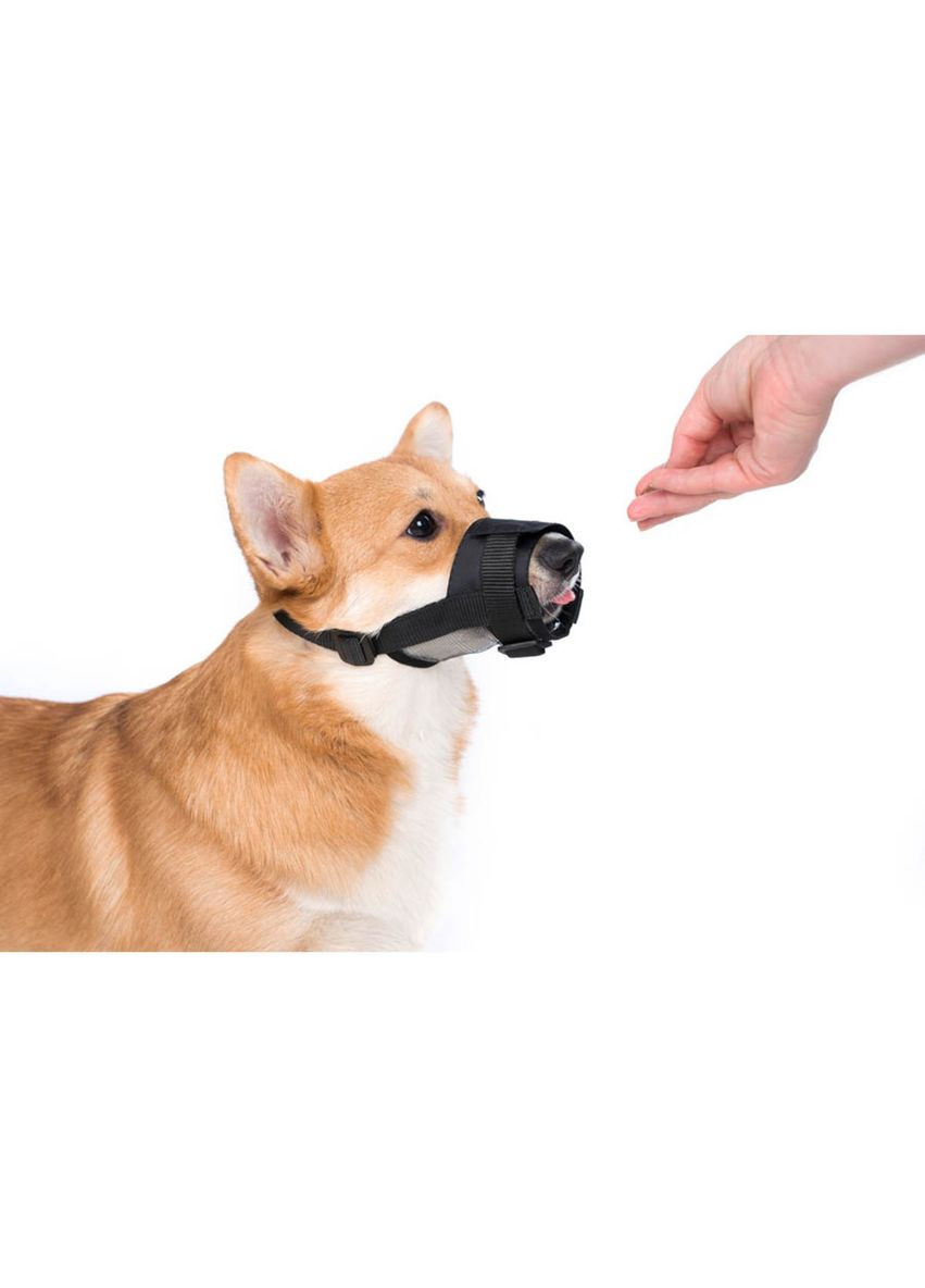 Нашийник Collar (333940697)