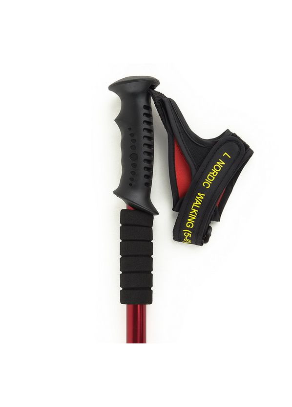 Палки для скандинавской ходьбы ТМ LEO-POLES (339679758)